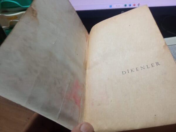 DİKENLER/Seyyid KUTUB - Görsel 2