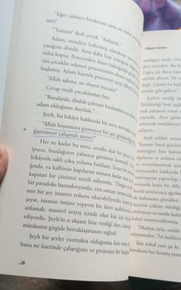 GÖLGELER KORİDORU Bir Sufinin Günlüğü/Muhyiddin ŞEKÜR - Görsel 2