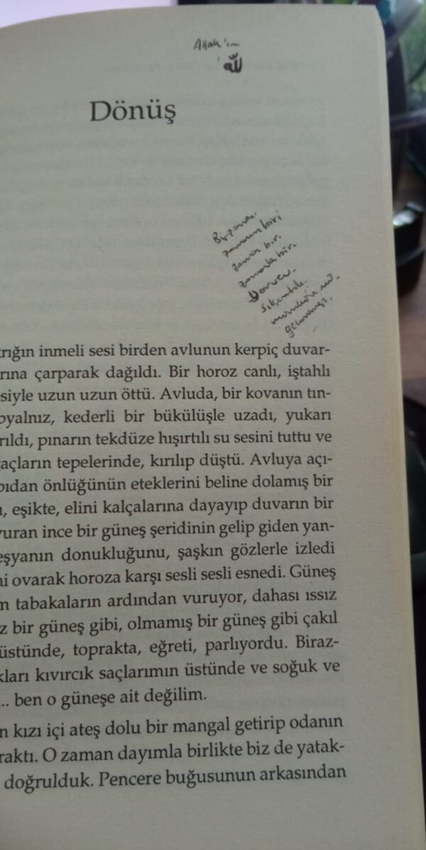 Hastalar ve Işıklar/Rasim Özdenören - Görsel 5