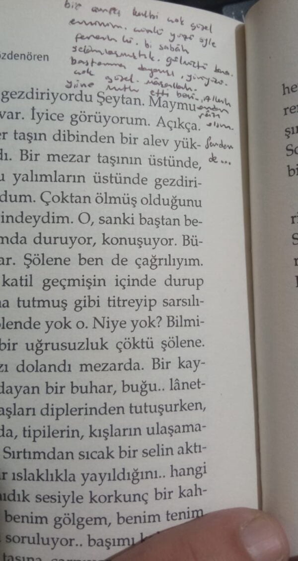 Hastalar ve Işıklar/Rasim Özdenören - Görsel 3
