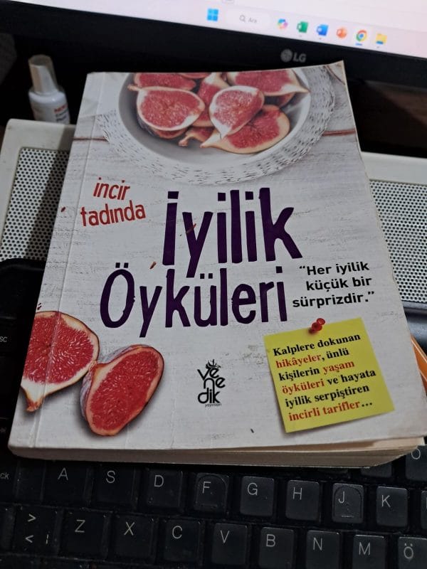 İncir Tadında İYİLİK ÖYKÜLERİ/KOLEKTİF
