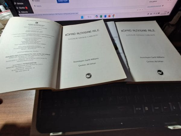KÖPRÜ ALTINDAKİ AİLE/Natalıe Savage CARLSON - Görsel 2