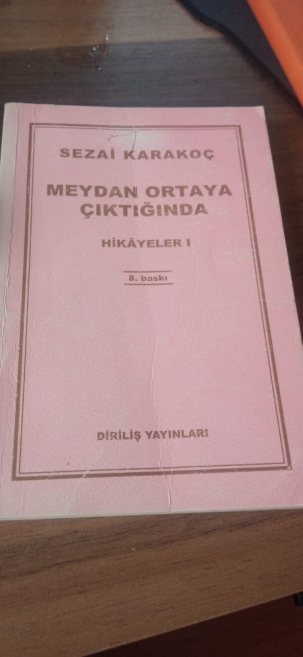 MEYDAN ORTAYA ÇIKTIĞINDA-HİKAYELER I/Sezai Karakoç - Görsel 2