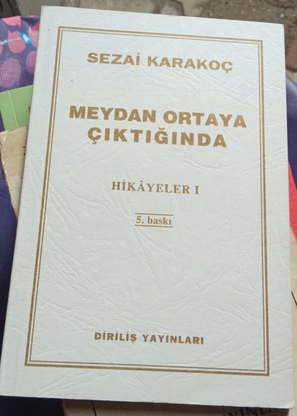 MEYDAN ORTAYA ÇIKTIĞINDA-HİKAYELER I/Sezai Karakoç