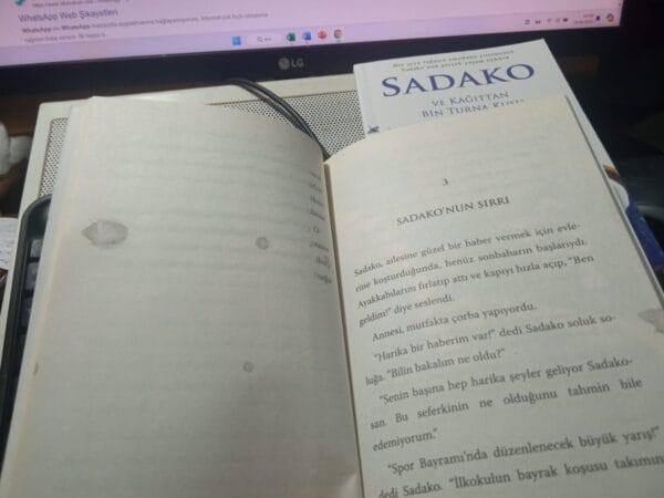 SADAKO VE KÂĞITTAN BİN TURNA KUŞU/Eleanor COERR - Görsel 2