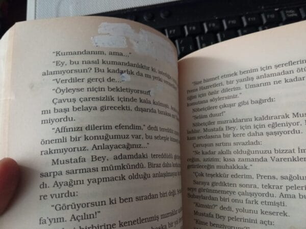 SAHİPSİZ SALTANAT/Yavuz BAHADIROĞLU - Görsel 2