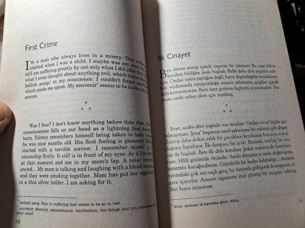 Selected Stories Of ÖMER SEYFEDDİN(Seçme Hikâyeler)/Mehmet MİYASOĞLU (Tercüme) - Görsel 3