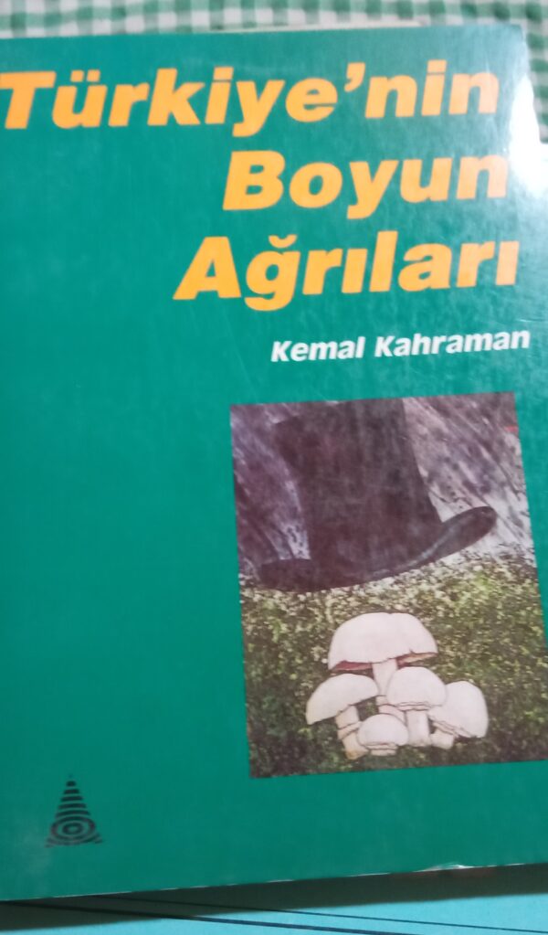 TÜRKİYE'NİN BOYUN AĞRILARI/Kemal KAHRAMAN