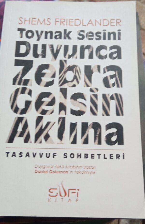 Toynak Sesini Duyunca Zebra Gelsin Aklına-Tasavvuf Sohbetleri/Shems Frıedlander