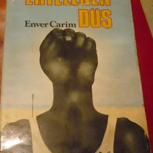 ERTELENEN DÜŞ/Enver Carim