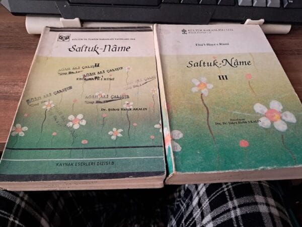 SALTUK-NÂME II-III / Ebü'l Hayr-ı RÛMİ